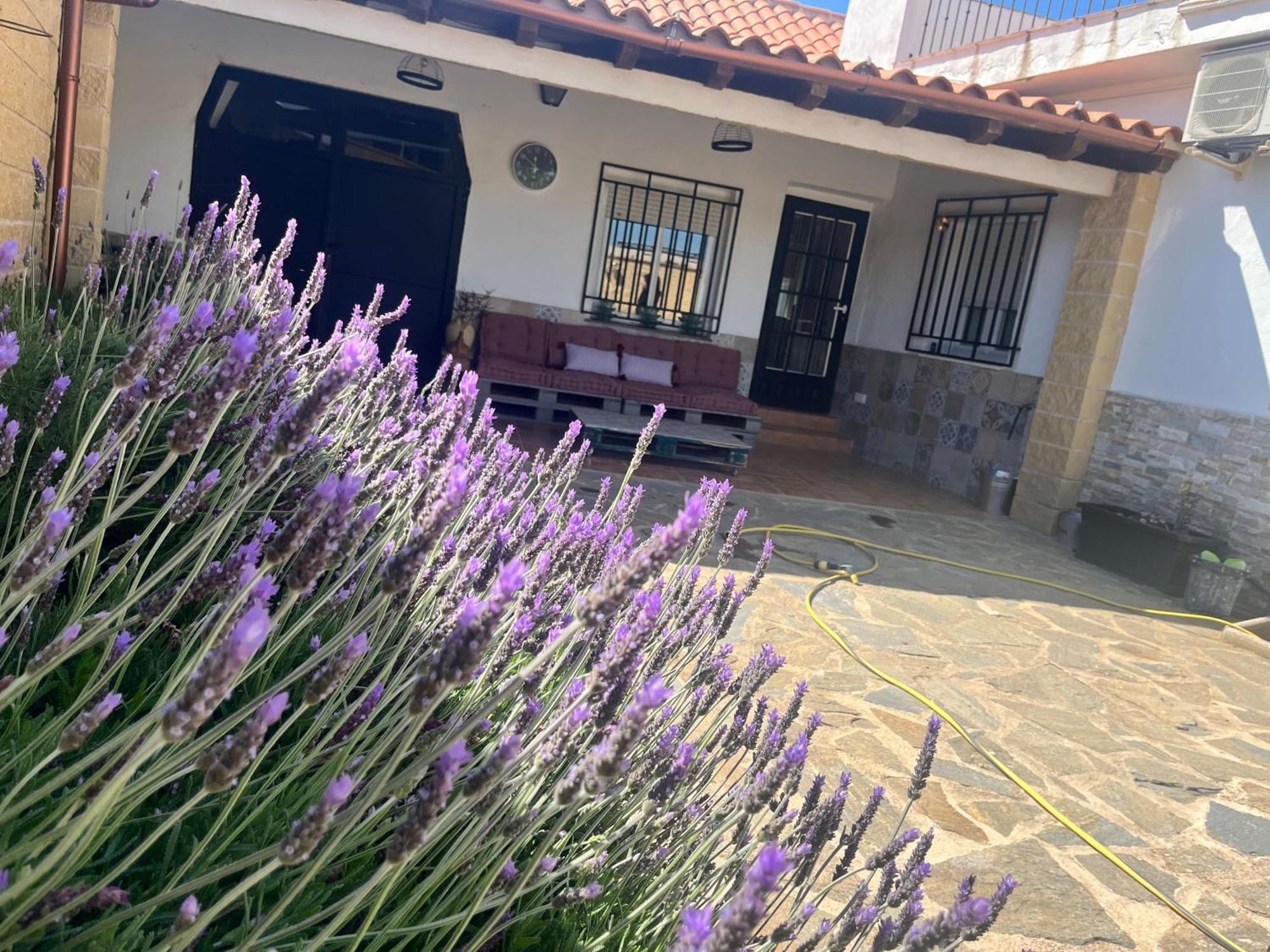 Casa Rural Valentina Almonacid de Toledo Eksteriør billede